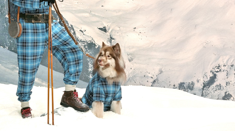 MATCHY-MATCHY AVEC MON CHIEN